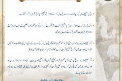 Hajj-e-Tamattu-or-Qiran-for-Performer-Hajj-e-Badal-urdu-23-5-26